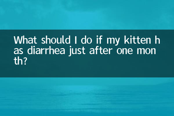 Was soll ich tun, wenn mein Kätzchen kurz nach einem Monat Durchfall hat?