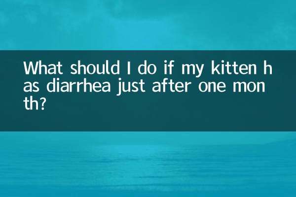 剛滿月小貓拉稀怎麼辦