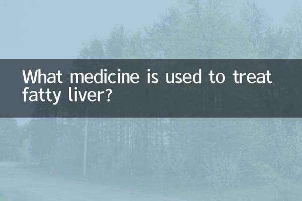 脂肪肝の治療にはどのような薬が使われますか?