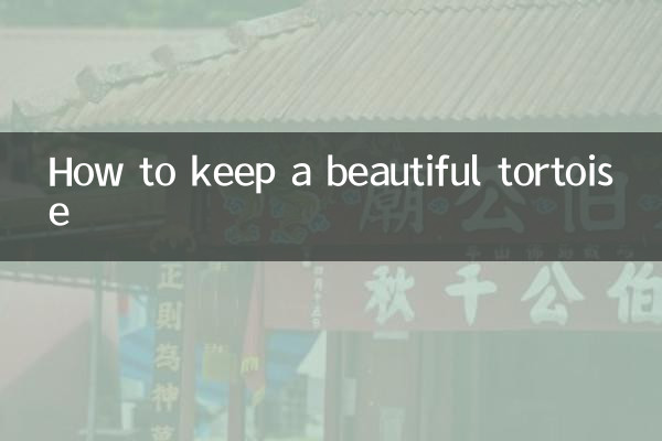 草龜怎麼養好看