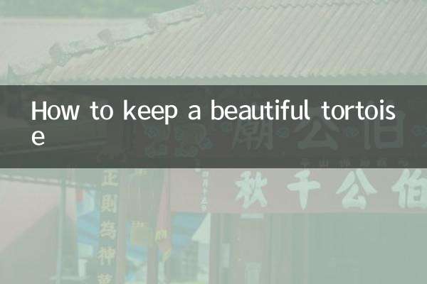 아름다운 거북이를 키우는 방법