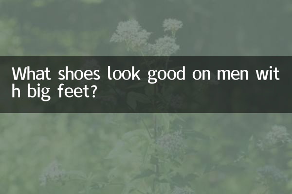 Quelles chaussures conviennent aux hommes aux grands pieds ?