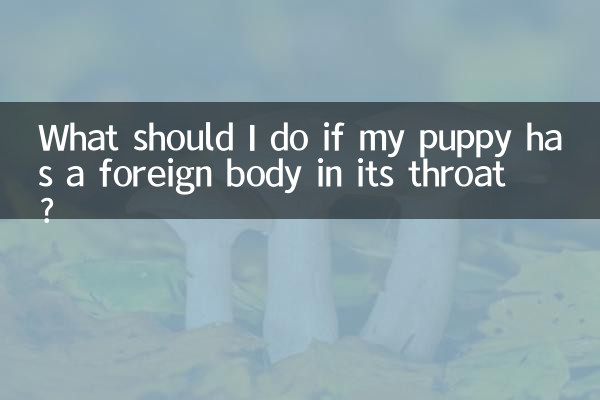 What should I do if my puppy has a foreign body in its throat?