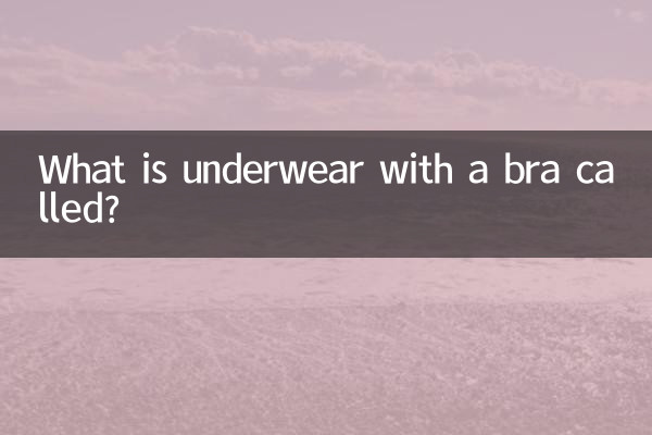 Wie heißt Unterwäsche mit BH?