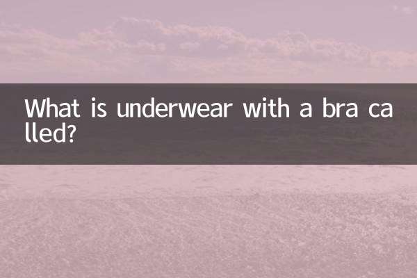Wie heißt Unterwäsche mit BH?