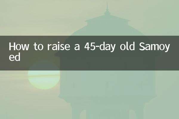 45天的萨摩耶怎么养