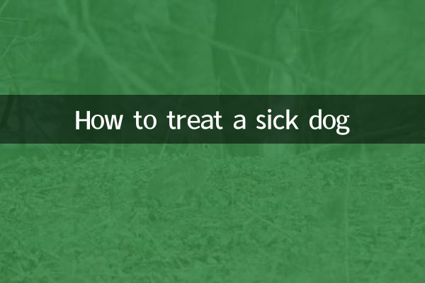 How to treat a sick dog