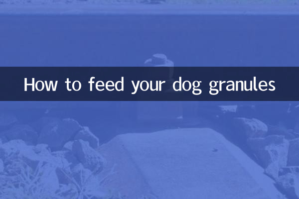 अपने कुत्ते को दाने कैसे खिलाएं