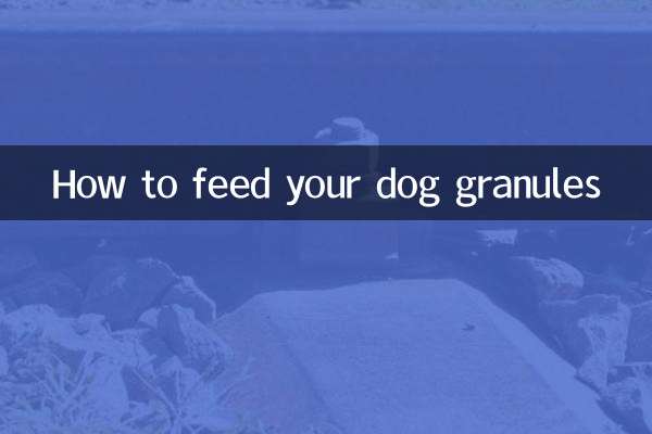 개에게 과립을 먹이는 방법