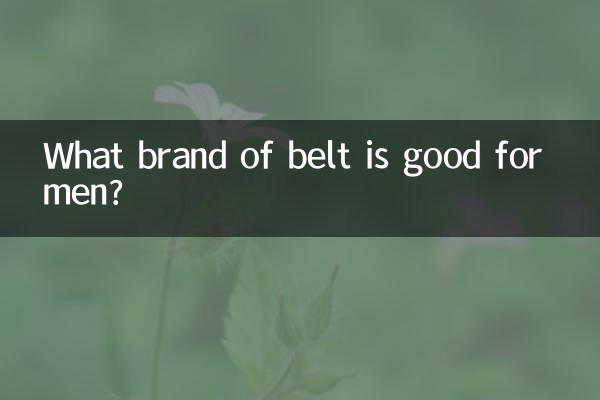 पुरुषों के लिए किस ब्रांड का बेल्ट अच्छा है?