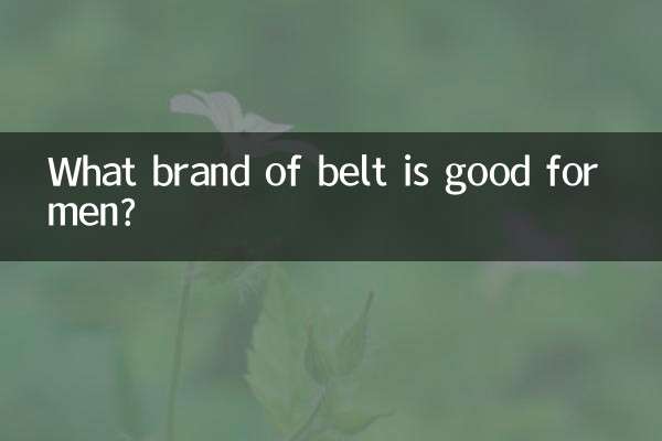 送男人腰带什么牌子好