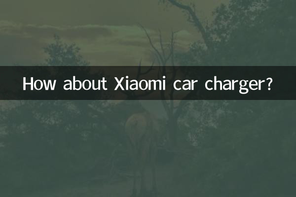 Wie wäre es mit einem Xiaomi-Autoladegerät?