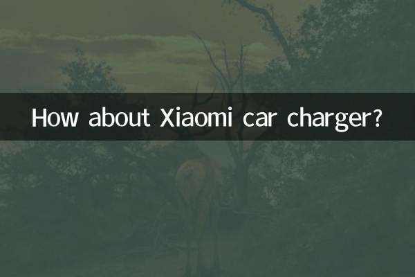 Wie wäre es mit einem Xiaomi-Autoladegerät?