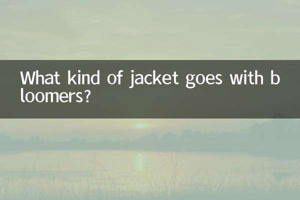 ¿Qué tipo de chaqueta va con los bombachos?