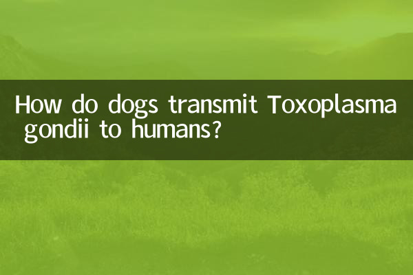 How do dogs spread Toxoplasma gondii to humans?