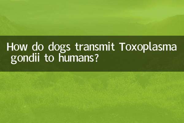 How do dogs spread Toxoplasma gondii to humans?