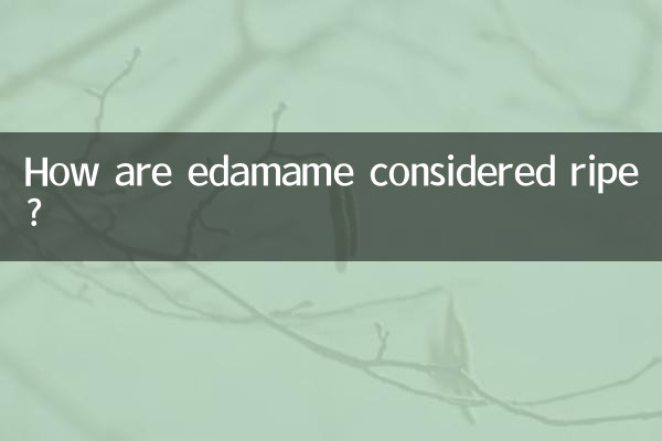 چگونه ادامه رسیده در نظر گرفته می شود؟