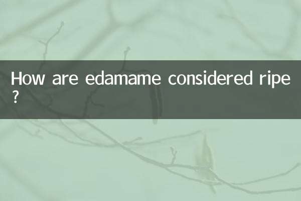 چگونه ادامه رسیده در نظر گرفته می شود؟