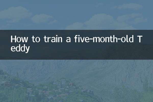 पांच महीने के टेडी को कैसे प्रशिक्षित करें