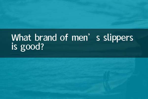 पुरुषों की चप्पलों का कौन सा ब्रांड अच्छा है?
