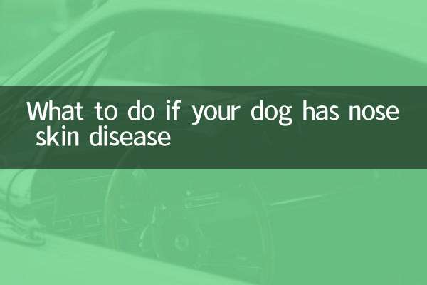 ماذا تفعل إذا كان كلبك يعاني من مرض جلدي في الأنف