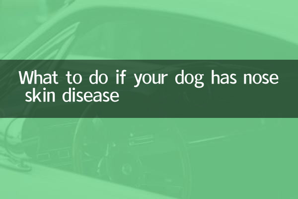 Что делать, если у вашей собаки заболевание кожи носа