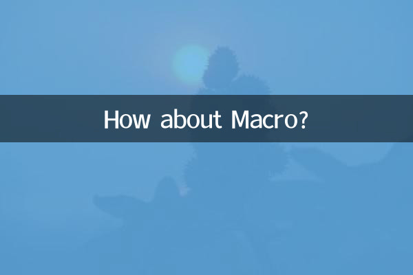 매크로는 어떻습니까?