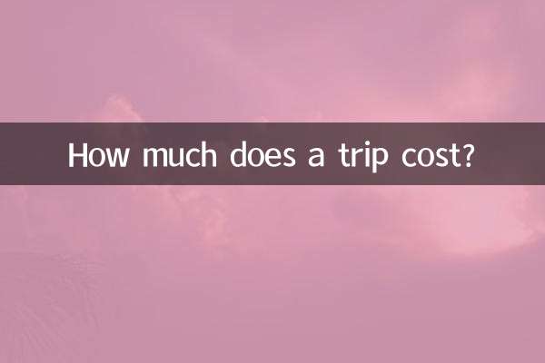 How much does a trip cost?