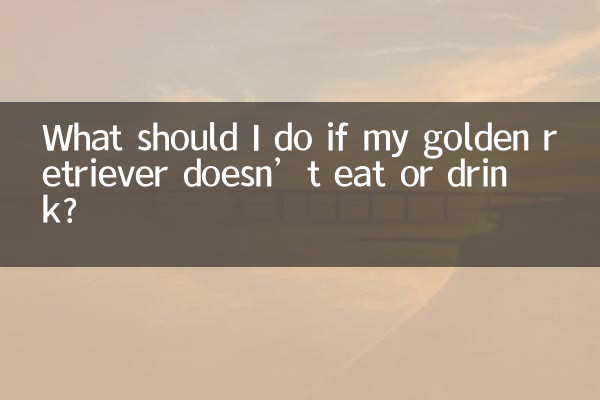 اگر میرا سنہری بازیافت نہیں کھاتا ہے تو مجھے کیا کرنا چاہئے؟