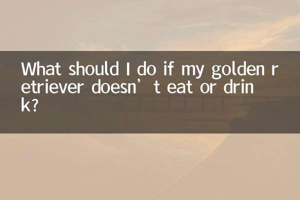 ماذا علي أن أفعل إذا كان كلبي الذهبي لا يأكل أو يشرب؟