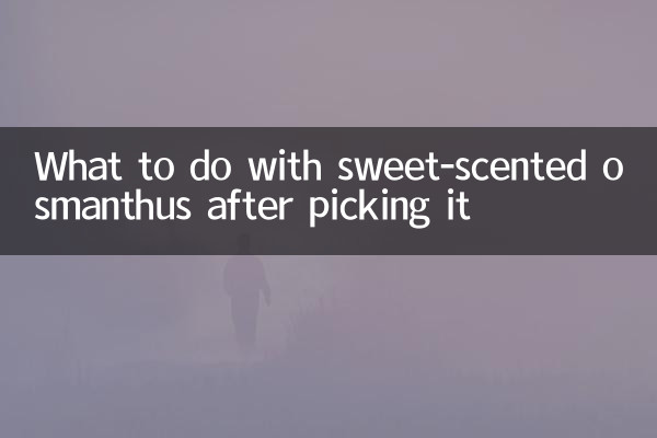 Что делать с душистым османтусом после его сбора?