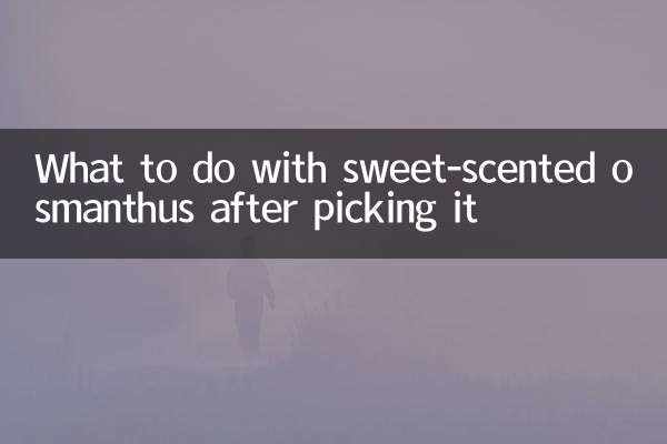 Что делать с душистым османтусом после его сбора?