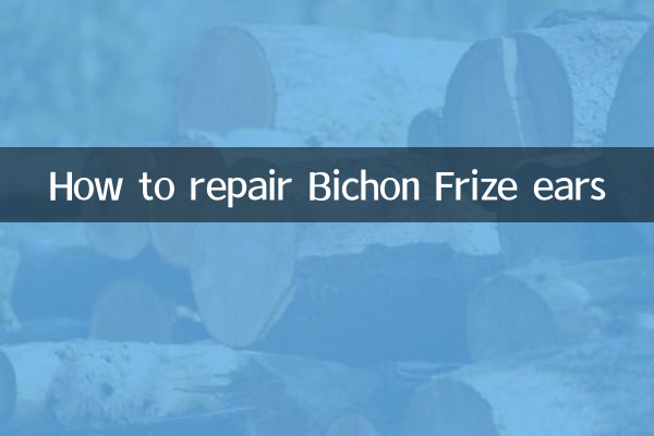 Как починить уши бишон фризе