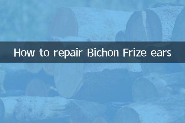 Как починить уши бишон фризе