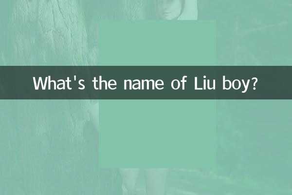 लियू लड़के का नाम क्या है?