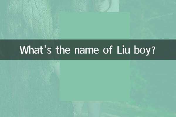 Qual è il nome del ragazzo Liu?