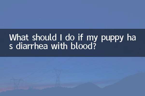 奶狗拉稀帶血怎麼辦