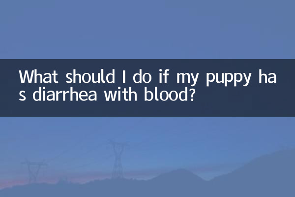 奶狗拉稀帶血怎麼辦