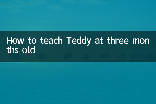 چگونه به تدی در سه ماهگی آموزش دهیم