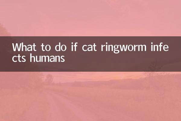 Was tun, wenn der Katzen-Ringelflechte Menschen infiziert?