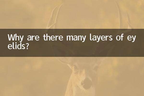 Perché ci sono molti strati di palpebre?
