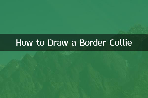 Como desenhar um Border Collie