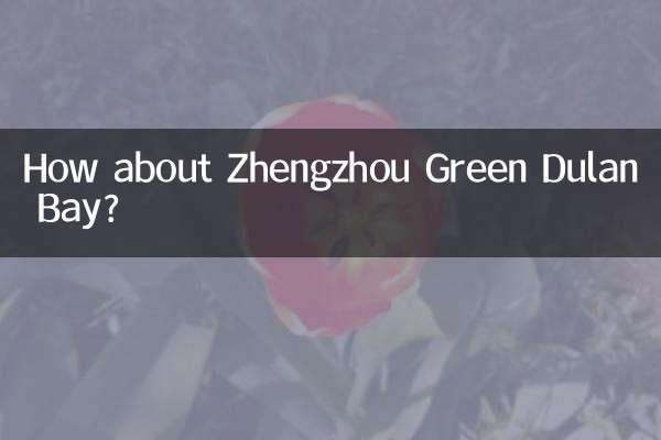 झेंग्झौ ग्रीन डुलान बे के बारे में क्या ख्याल है?