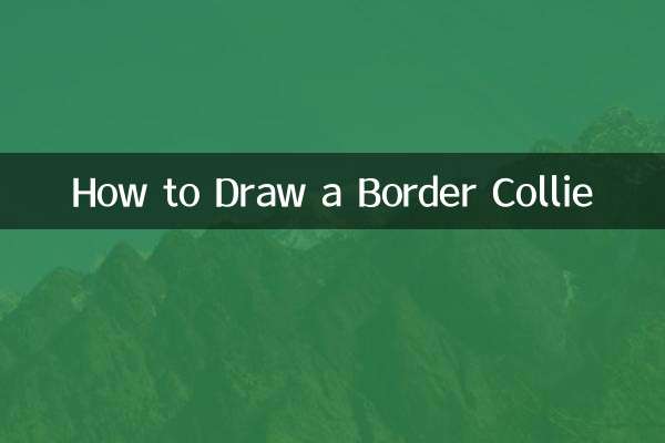 Como desenhar um Border Collie