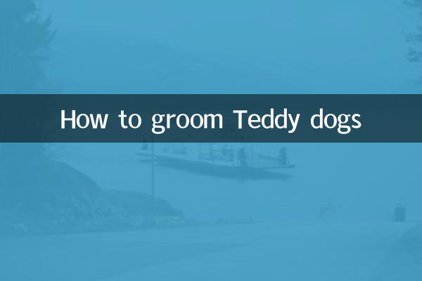 Wie man Teddy-Hunde pflegt