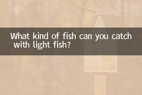 ライトフィッシュではどんな魚が釣れるのでしょうか？