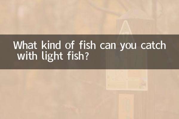 आप हल्की मछली से किस प्रकार की मछली पकड़ सकते हैं?