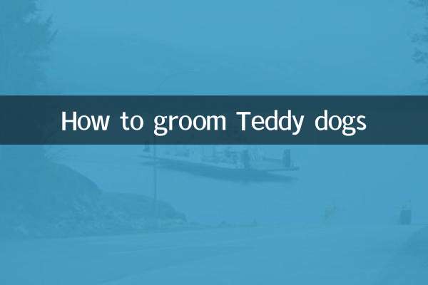 Come governare i cani Teddy