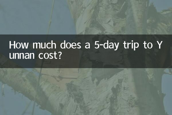 云南5日游多少钱