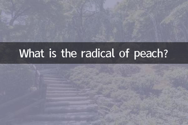 복숭아의 라디칼은 무엇입니까?